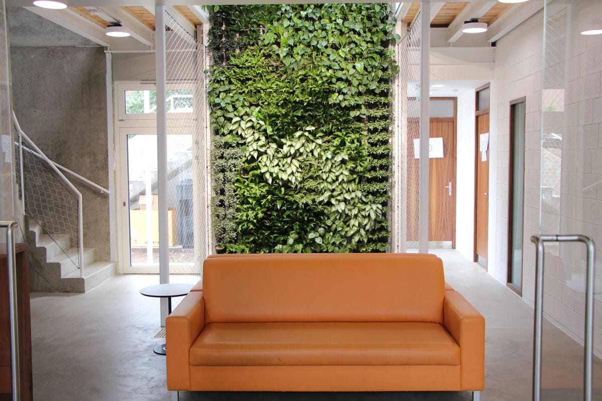 Finální podoba zelené stěny po instalaci