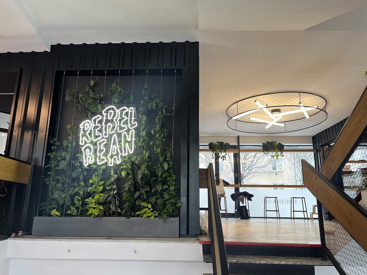 Pnoucí interiérové rostliny na lankovém systému v kavárně RebelBean Pole v Brně