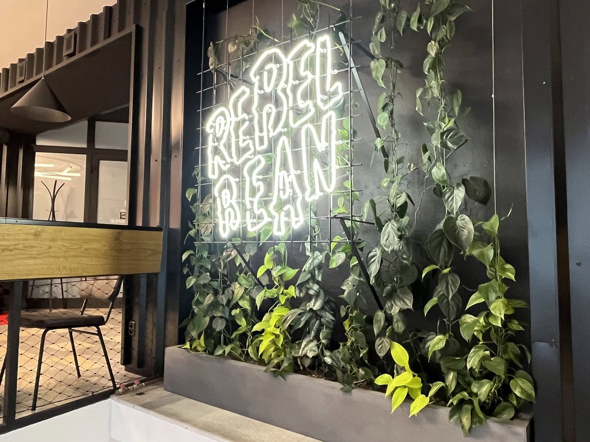 Pnoucí interiérové rostliny na lankovém systému v kavárně RebelBean Pole v Brně