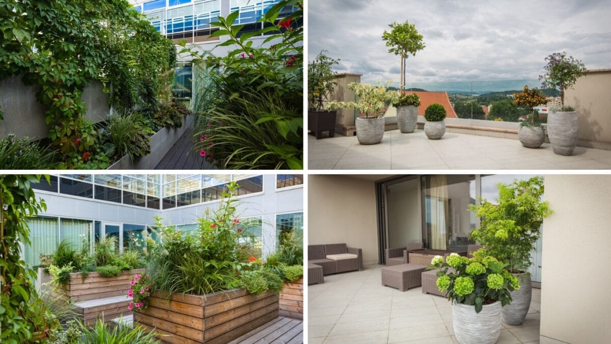 Dvě různé varianty výsadba firemní terasy. Jedna do nábytku na míru, druhá do volně stojících nádob, okrasných květináčů.
