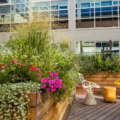 Realizovaná výsadba firemní terasy, kombinace trvalek a letniček.